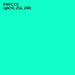 #10FCC8 - Bright Turquoise Color Image