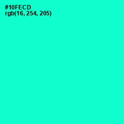 #10FECD - Bright Turquoise Color Image