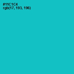 #11C1C4 - Java Color Image