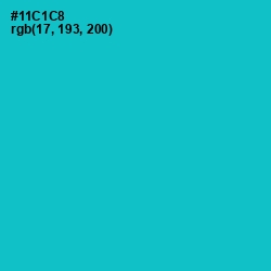 #11C1C8 - Java Color Image