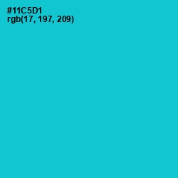 #11C5D1 - Robin's Egg Blue Color Image