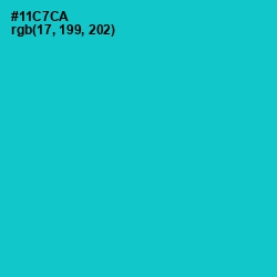 #11C7CA - Java Color Image