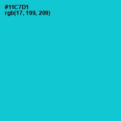 #11C7D1 - Robin's Egg Blue Color Image