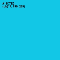 #11C7E5 - Robin's Egg Blue Color Image