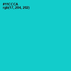 #11CCCA - Java Color Image