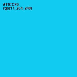 #11CCF0 - Bright Turquoise Color Image