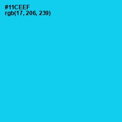 #11CEEF - Bright Turquoise Color Image