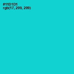 #11D1D1 - Robin's Egg Blue Color Image