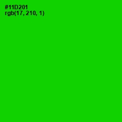 #11D201 - Green Color Image