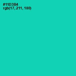 #11D3B4 - Caribbean Green Color Image