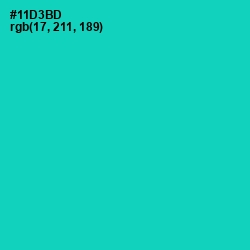 #11D3BD - Caribbean Green Color Image