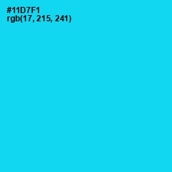 #11D7F1 - Bright Turquoise Color Image