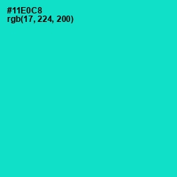 #11E0C8 - Bright Turquoise Color Image