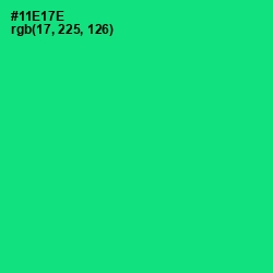 #11E17E - Spring Green Color Image