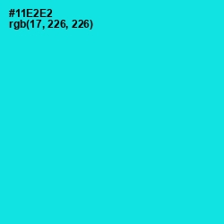 #11E2E2 - Cyan / Aqua Color Image