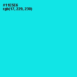 #11E5E6 - Cyan / Aqua Color Image