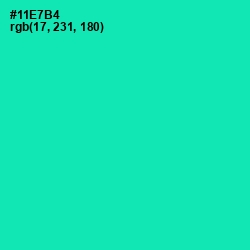 #11E7B4 - Caribbean Green Color Image