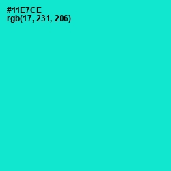 #11E7CE - Bright Turquoise Color Image