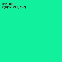 #11F09D - Caribbean Green Color Image