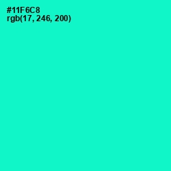 #11F6C8 - Bright Turquoise Color Image