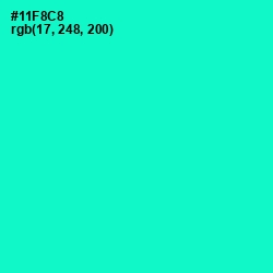 #11F8C8 - Bright Turquoise Color Image