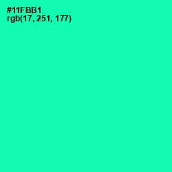 #11FBB1 - Caribbean Green Color Image