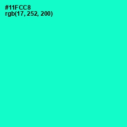 #11FCC8 - Bright Turquoise Color Image