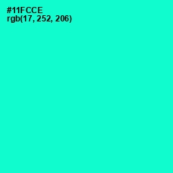 #11FCCE - Bright Turquoise Color Image