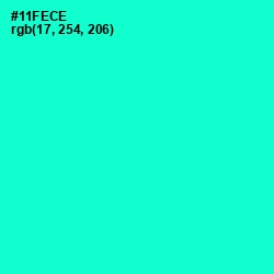 #11FECE - Bright Turquoise Color Image