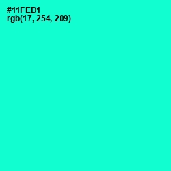 #11FED1 - Bright Turquoise Color Image