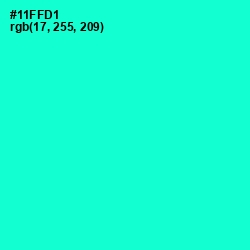 #11FFD1 - Bright Turquoise Color Image