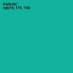 #12B39C - Persian Green Color Image