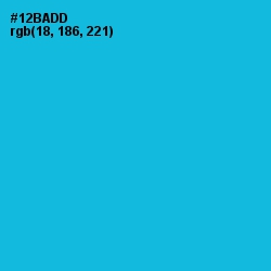 #12BADD - Cerulean Color Image