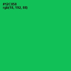 #12C058 - Malachite Color Image