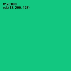 #12C880 - Caribbean Green Color Image