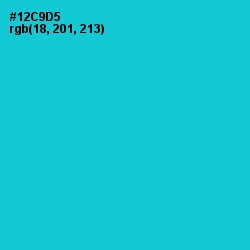 #12C9D5 - Robin's Egg Blue Color Image