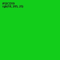 #12CD19 - Green Color Image