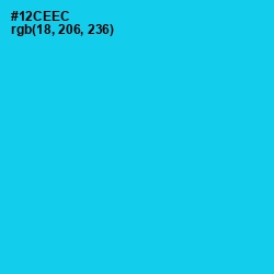#12CEEC - Bright Turquoise Color Image