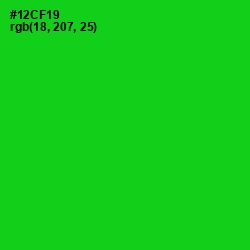 #12CF19 - Green Color Image
