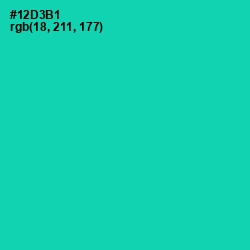 #12D3B1 - Caribbean Green Color Image