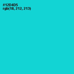 #12D4D5 - Robin's Egg Blue Color Image