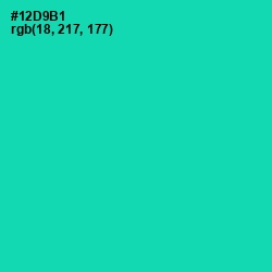 #12D9B1 - Caribbean Green Color Image