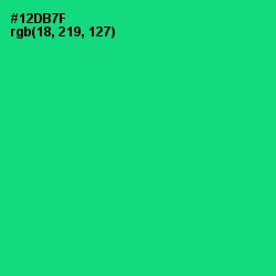 #12DB7F - Spring Green Color Image