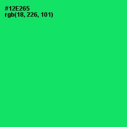 #12E265 - Spring Green Color Image