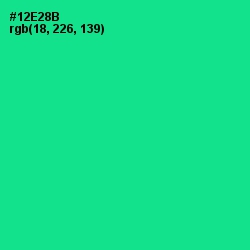 #12E28B - Caribbean Green Color Image