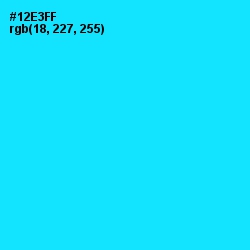 #12E3FF - Cyan / Aqua Color Image