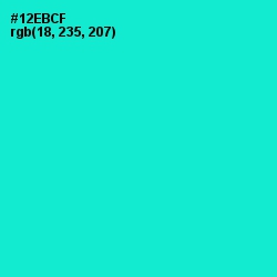 #12EBCF - Bright Turquoise Color Image