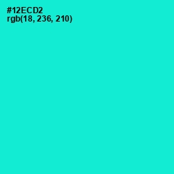 #12ECD2 - Bright Turquoise Color Image