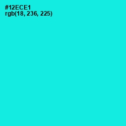 #12ECE1 - Cyan / Aqua Color Image