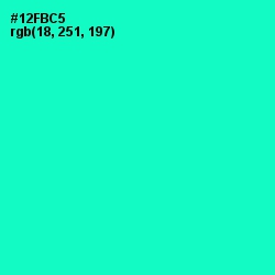 #12FBC5 - Bright Turquoise Color Image